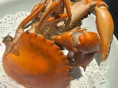 -鑫悦楼煎蟹·16年海鲜大排档