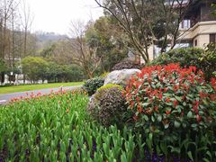 -杭州花家山庄