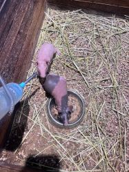 -酷嗒动物文化乐园(cutezoo西溪乐天城店)