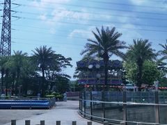 -大信·云顶星河游乐王国