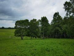 -御道口草原森林风景区