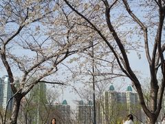 -西北湖绿化广场