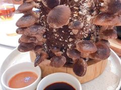 -幸福蔬·时尚蔬食(黄山湖公园店)