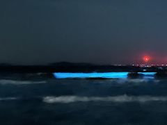 -长江澳风力发电景观区