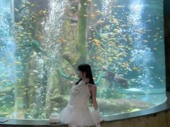 -合肥海洋世界
