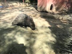 -青藏高原野生动物园