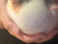 -永安鱼庄·镇江菜(丁卯店)