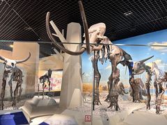 -国家自然博物馆