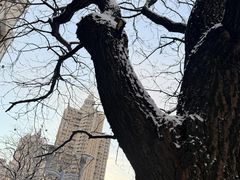 -奕景海鲜·大连菜(星海广场店)