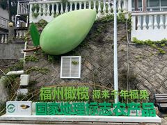 -鼓岭旅游度假区