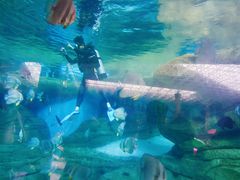 -波塞冬旅游度假区