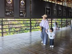 -海南槟榔谷黎苗文化旅游区