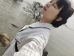 -宝安西湾红树林湿地公园