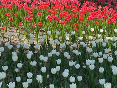 -长春公园(普阳街道)