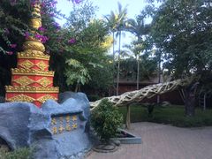 -瑞丽独树成林风景区