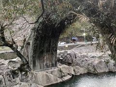 -四明山国家森林公园