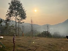 -黄埔油麻山森林公园