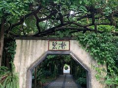 -广西壮族自治区药用植物园