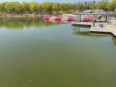 -大兴滨河森林公园