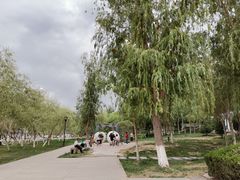 -东湖公园