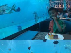 -瑞德姆美人鱼海底演艺主题餐厅(亚龙湾店)