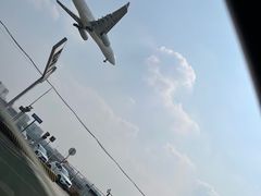 -空港花田景区