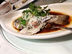 清蒸鲈鱼-尘香•传统川菜(创汇首座店)