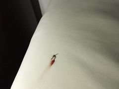 -苏州环秀晓筑养生度假村