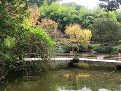 -汇龙潭