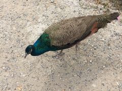 -大平台龙居瀑布旅游区