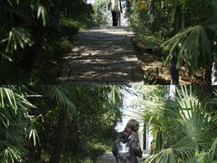 -菊花台公园