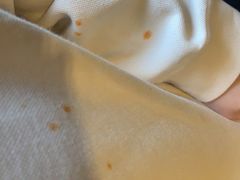 -重庆锦火锅(惠福东路店)