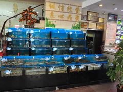 -添福来墨鱼饺子 · 海鲜东北菜(泡崖店)