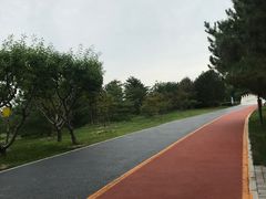 -大兴滨河森林公园