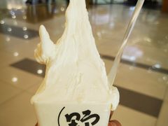 -野人先生Gelato(上海长宁龙之梦店)