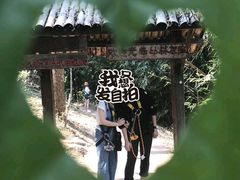 -清迈丛林飞跃 JungleFlight