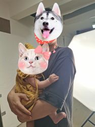 -爱你宝贝儿童摄影(西湖云端店)