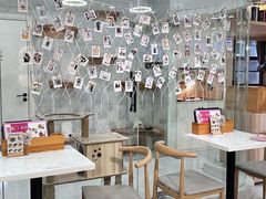 -喵园·猫主题咖啡厅·撸猫·猫咖(国贸店)