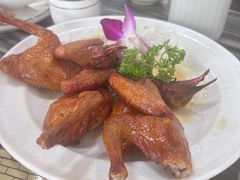 -鸽鸟轩(石岐店)