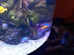 -暹罗海洋世界