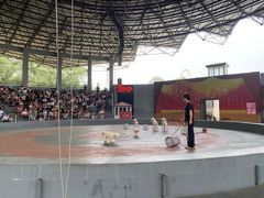 -石家庄市动物园