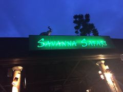 清迈夜间动物园-清迈夜间动物园