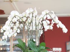 -熙瓏里(万科店)