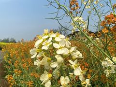 -中国天府农业博览园