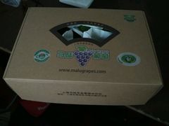 -马陆小张葡萄园农家乐