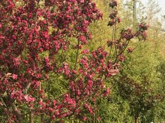 -下沉广场(羊坊店街道)