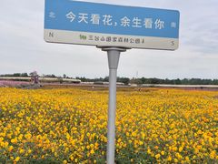 -江苏三台山国家森林公园