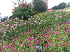 -二沙岛艺术公园