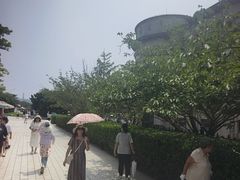 -旅顺博物馆