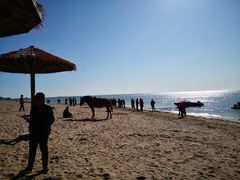 -东戴河风景区-止锚湾